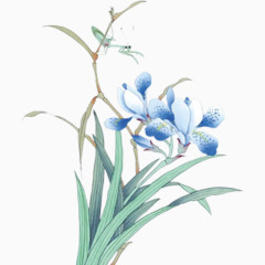 花枝头上的鸟儿