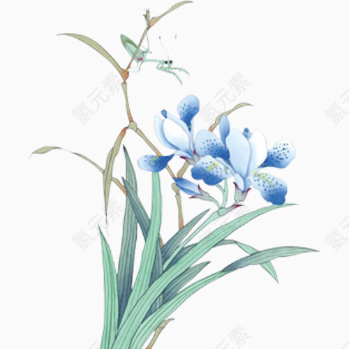 花枝头上的鸟儿