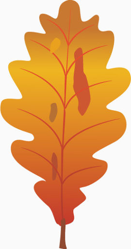 秋天的叶子矢量免抠效果素材
