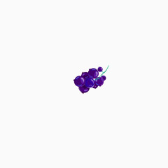 简笔画水果2