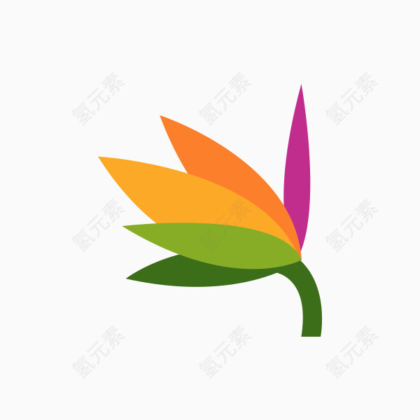 卡通热带植物花卉