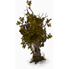 卡通树木图片素材透明树木图片