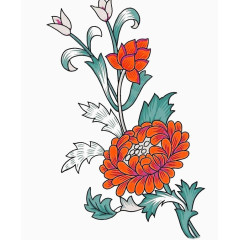 手绘橙红色花朵插画