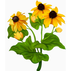 手绘黄色太阳花