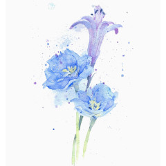 手绘蓝紫色花朵