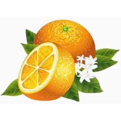 时令鲜橙时令水果新鲜果汁