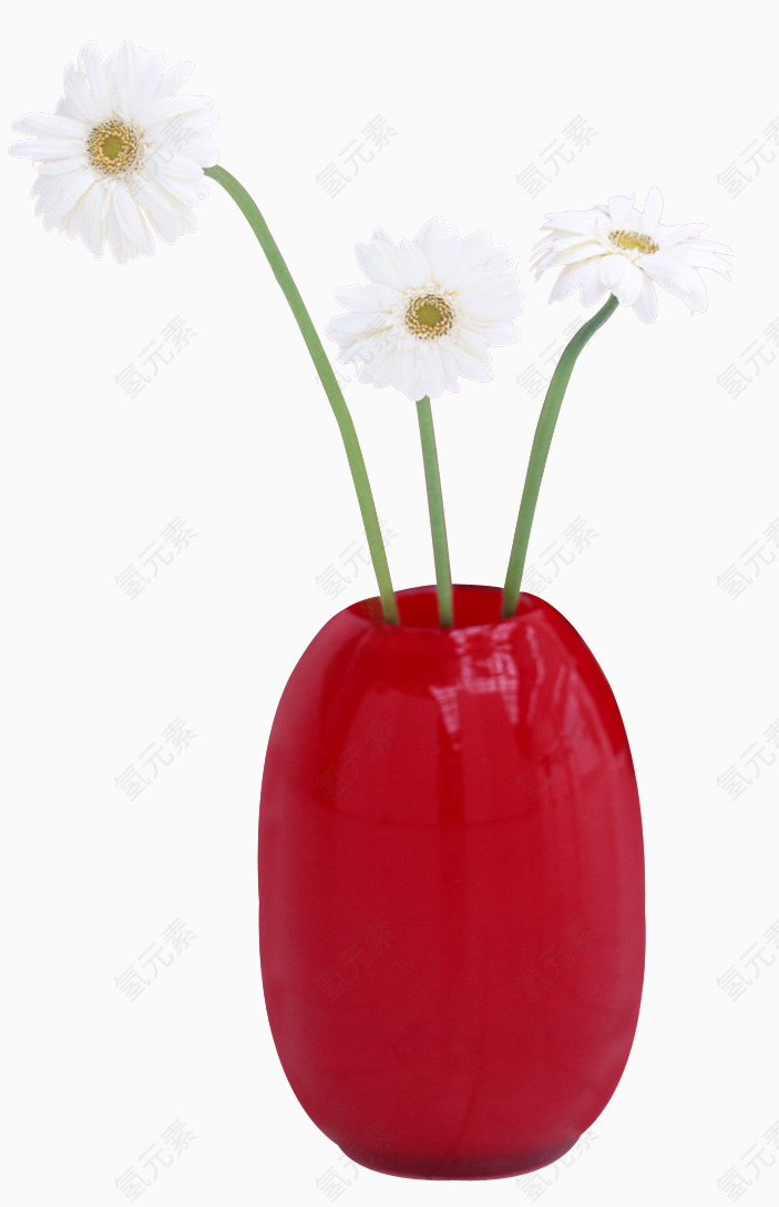 观赏花花盆