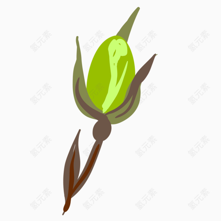 绿色棉花桃