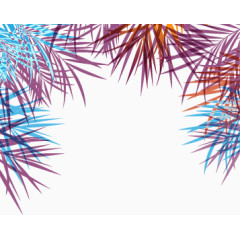 花边 花卉 彩色