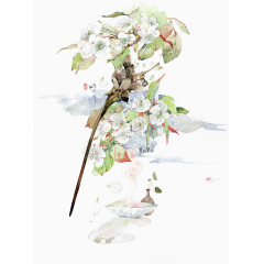 鲜花插画
