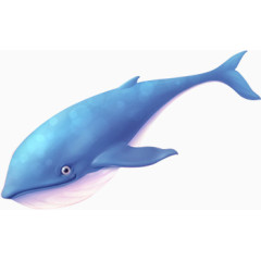 可爱海豚素材