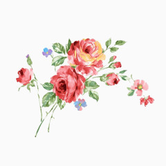 两朵玫瑰花元素