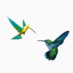 展翅飞翔的鸟儿