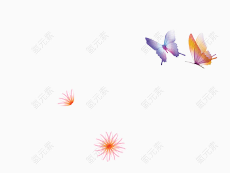 蝴蝶
