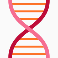 科学研究学习系列全套线框图标基因链