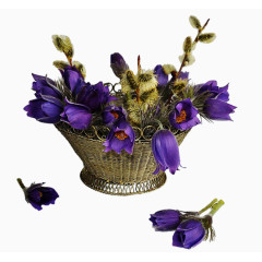 卡通装饰花卉背景