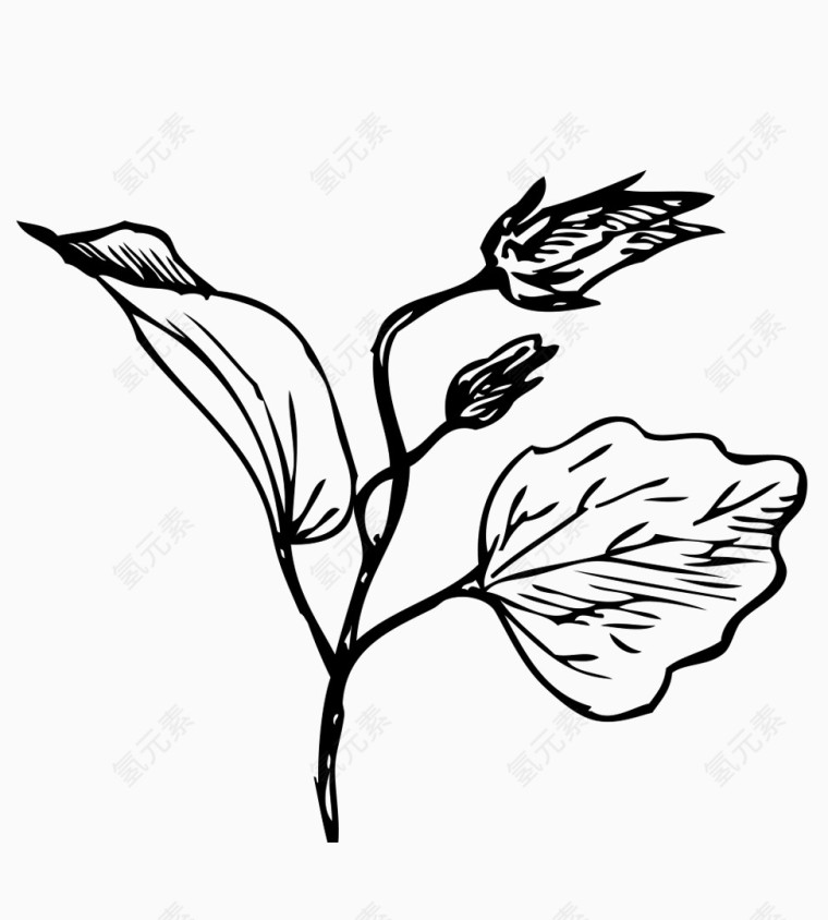卡通手绘素描花朵花束鲜花