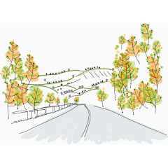 公路边的树木场景