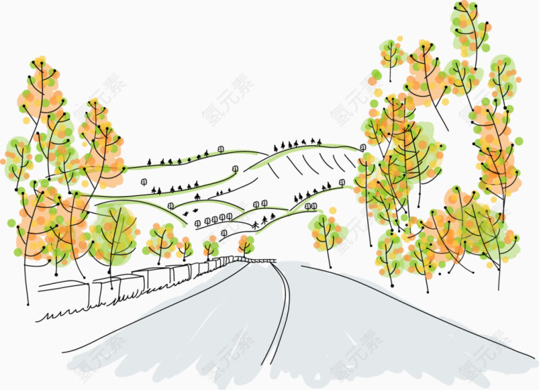 公路边的树木场景