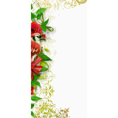 花卉画花卉图片素材 精美清新边框