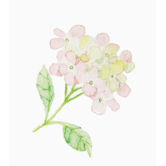 小清新日系小花