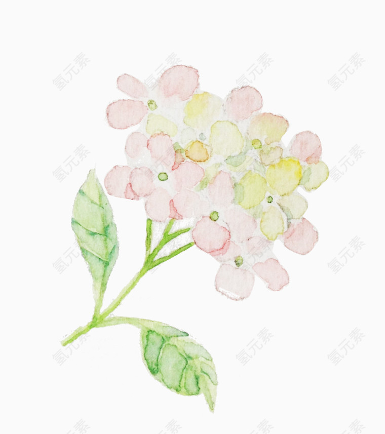 小清新日系小花