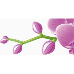 心形礼盒矢量图