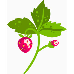 草莓