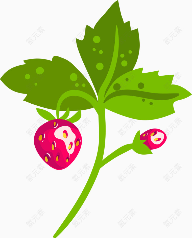 草莓