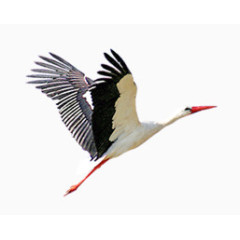 卡通古风素材装饰图案模板