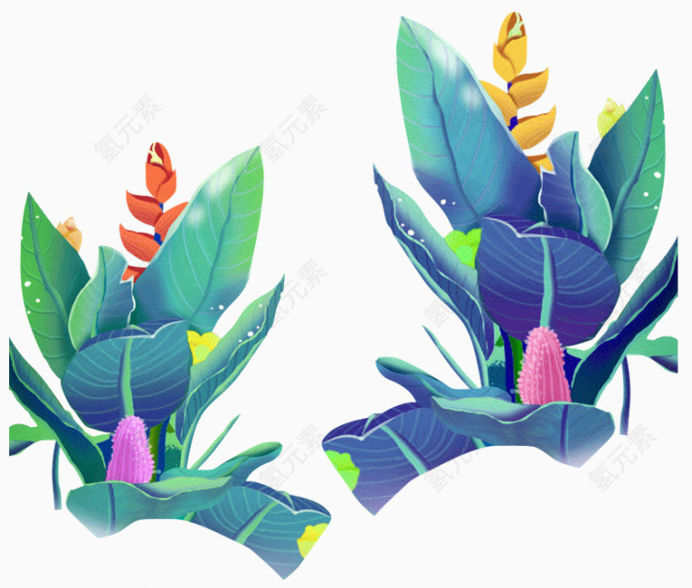 植物装饰