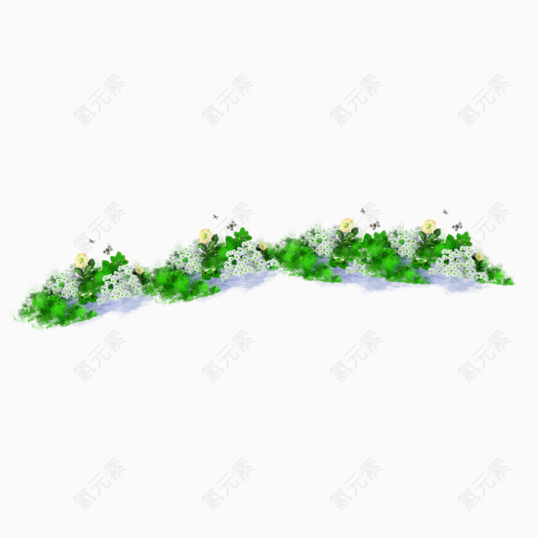 手绘植物花卉