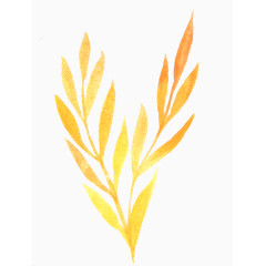 水彩画橙黄色枝叶