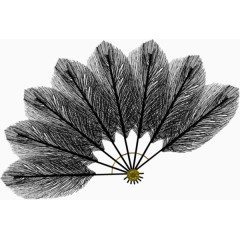 黑色羽毛扇