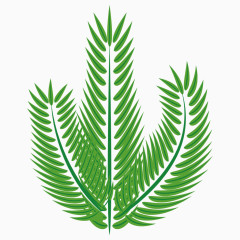 手绘植物绿色的树叶