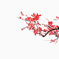 水墨红色梅花手绘插画