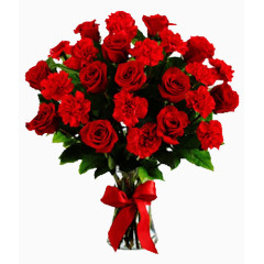 花卉设计素材花卉矢量图素材