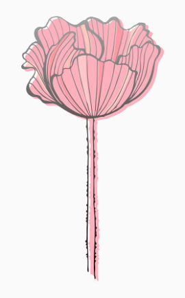 手绘花朵线条