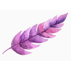 植物水彩画