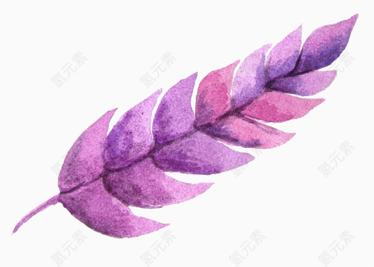 植物水彩画