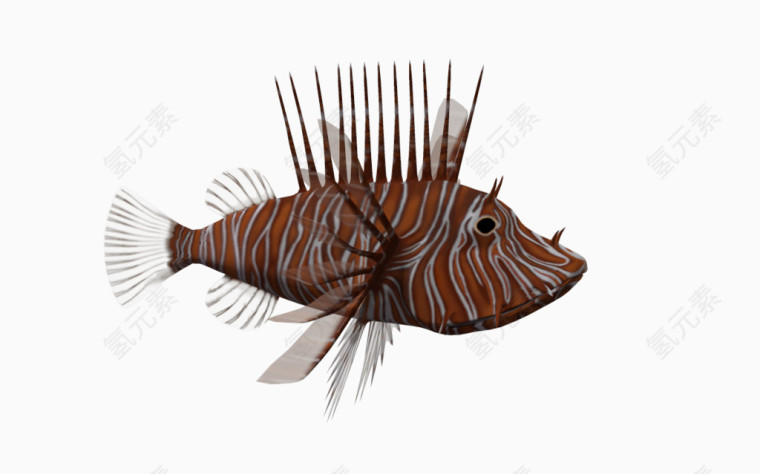 3d海洋