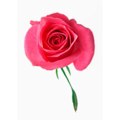 时尚风格装饰花边花朵