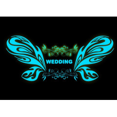荧光蓝蝴蝶婚庆logo