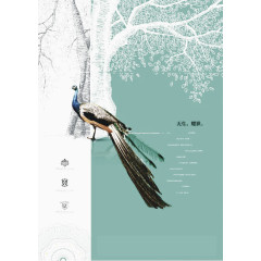 中国风孔雀