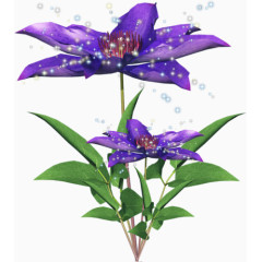 花卉图片素材绿植花草