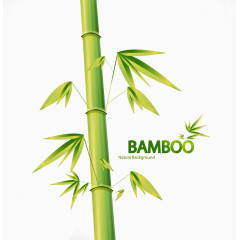 竹子矢量图手绘竹叶图片 