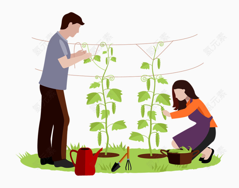 种植物的男人女人