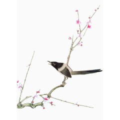 手绘小鸟梅花枝头