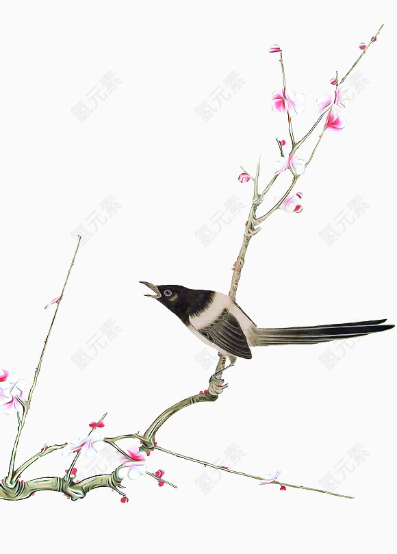 手绘小鸟梅花枝头