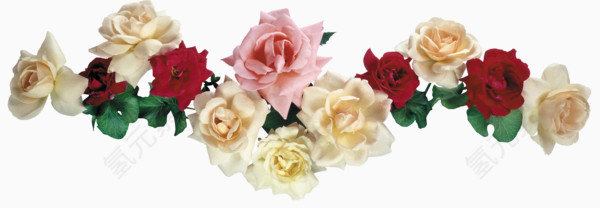 花卉标签花卉图案素材